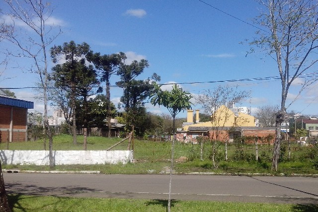 Foto 1 - Terreno no centro de Sapiranga