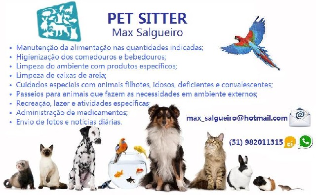 Foto 1 - Pet sitter